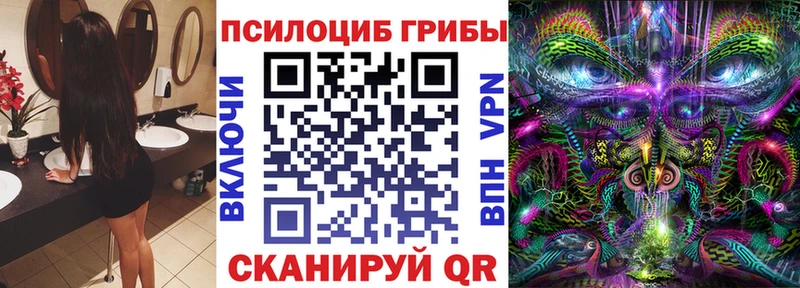Галлюциногенные грибы Cubensis  Купить где  Кизел 